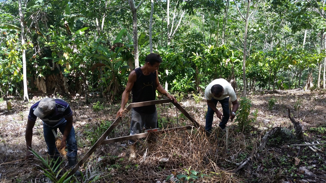 3_2Capacitação técnica prática_ Agricultor familiar capacitado em boas práticas de conservação do solo_ demarcação de curvas de nível na unidade de aprendizagem.jpg